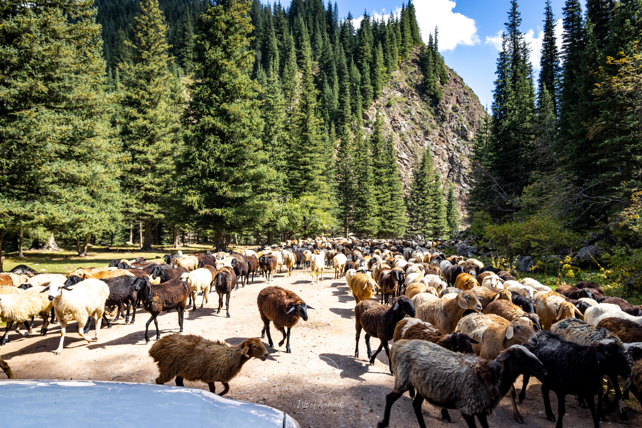 Traffic jam in the Sary Jaz Valley