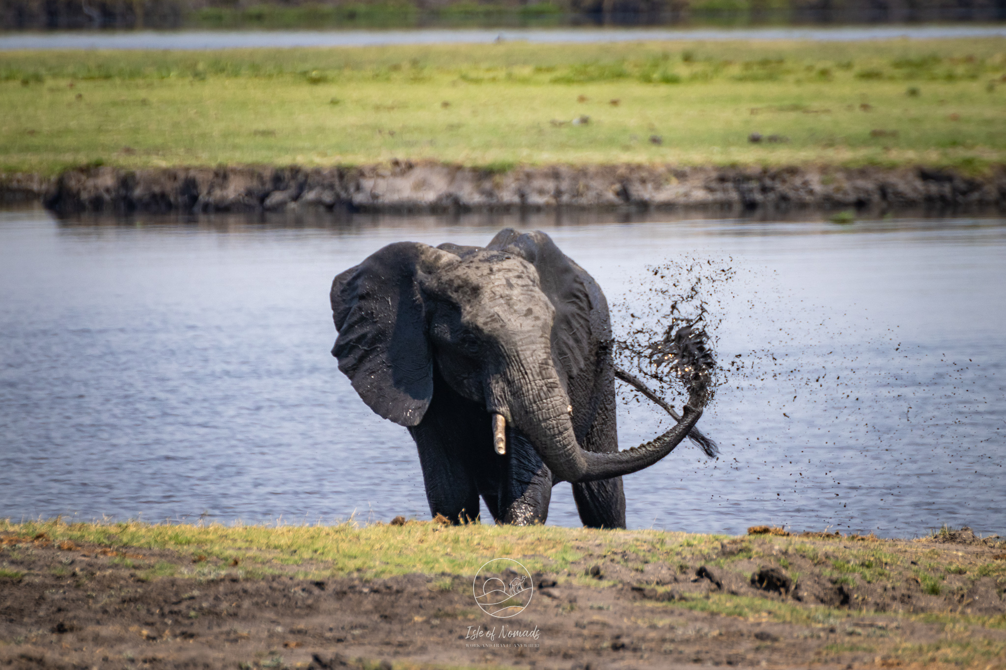 Floating down the Chobe river and watching elephants play in the mud was unforgettable