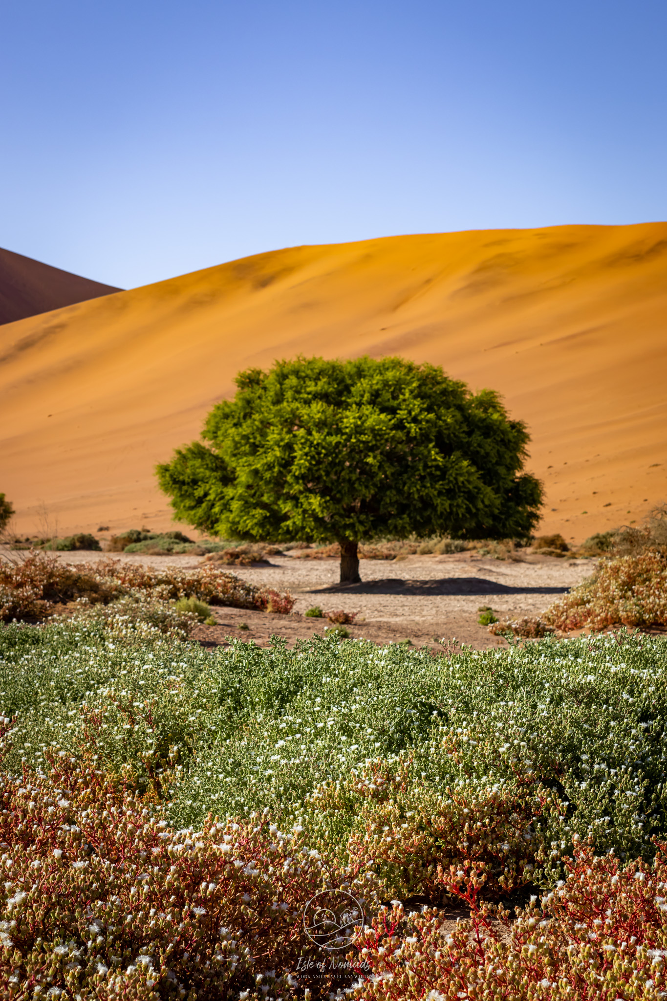 The different colors of Sossusvlei are beautiful!