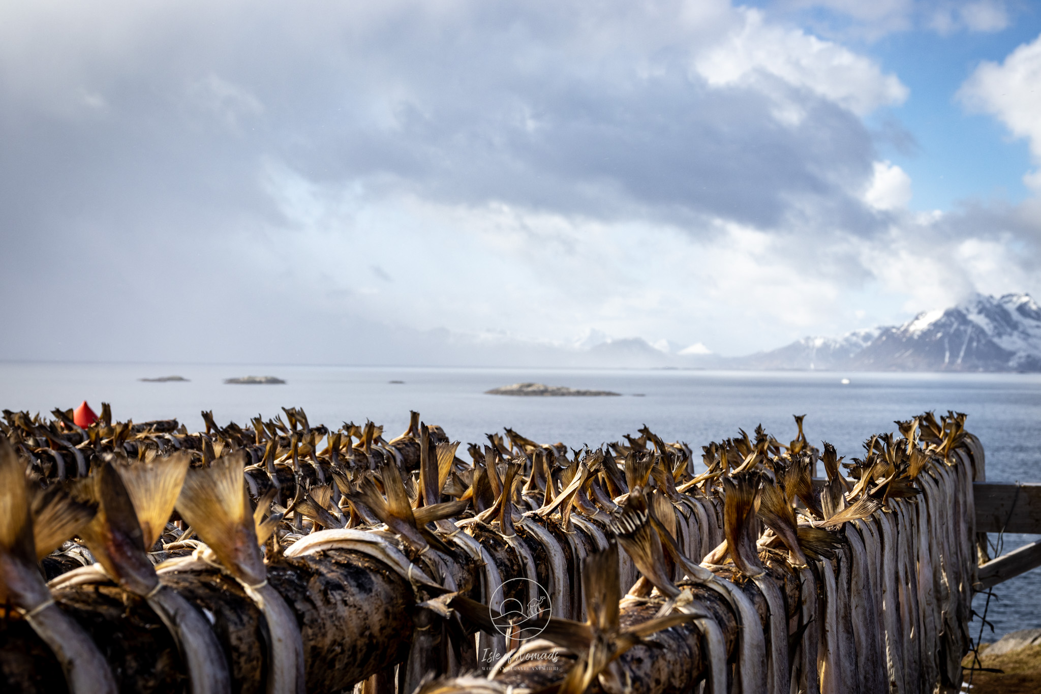 If you visit between February and May, you will see many drying fish all around Lofoten