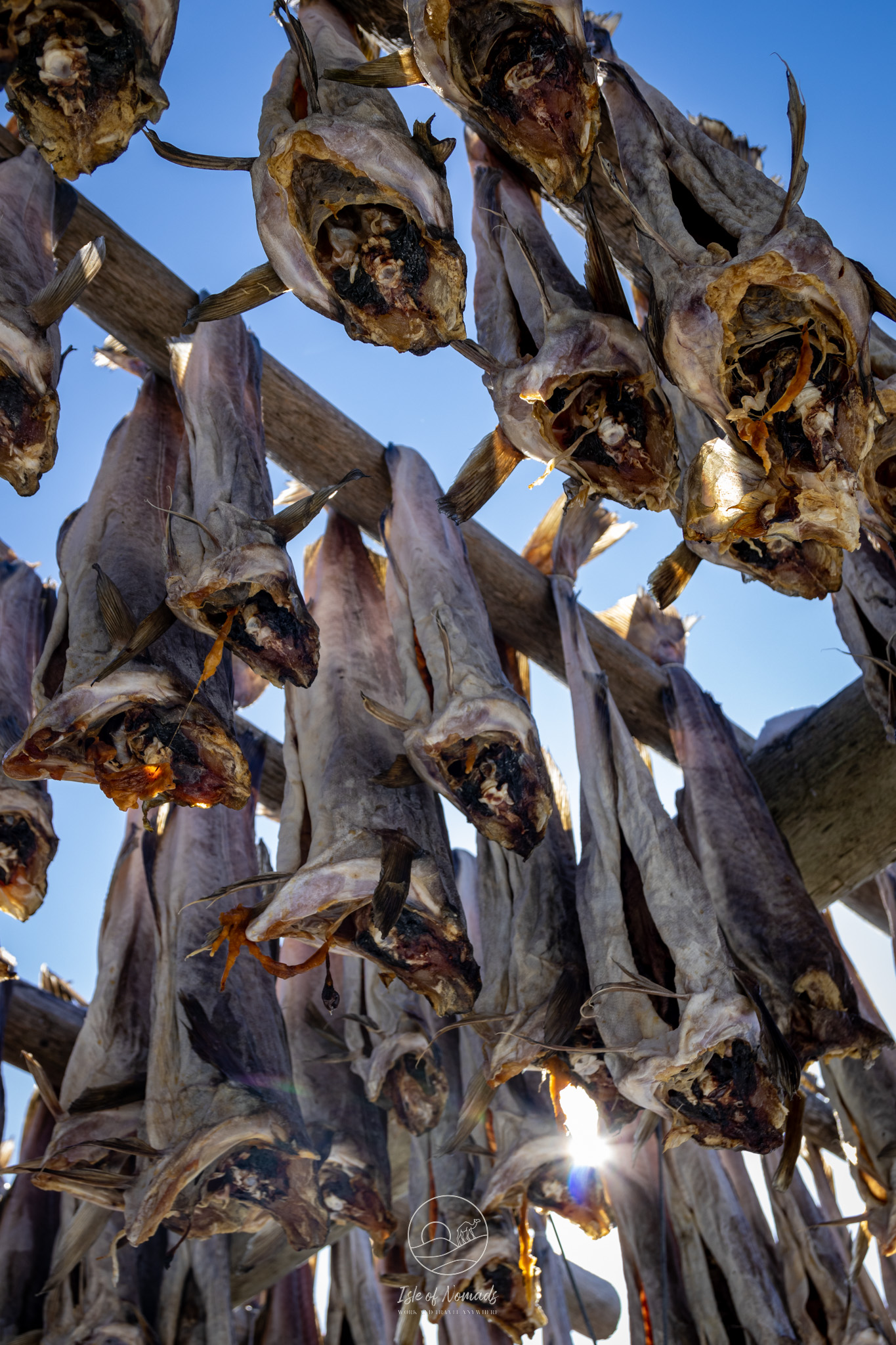 If you visit during the season, you will smell Stockfish everywhere you go