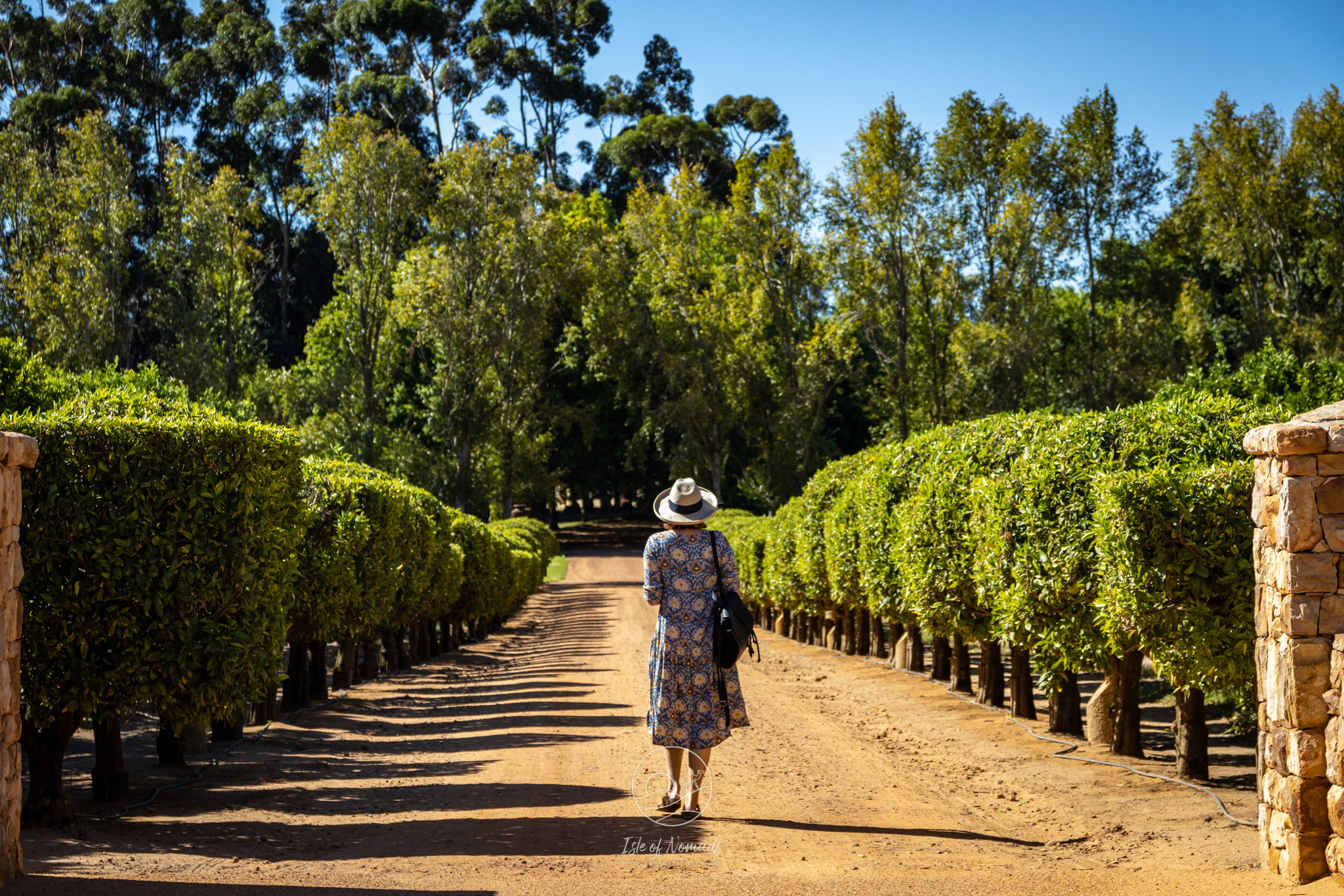 The Wine Region in South Africa is worth a visit just to see the beautiful estates