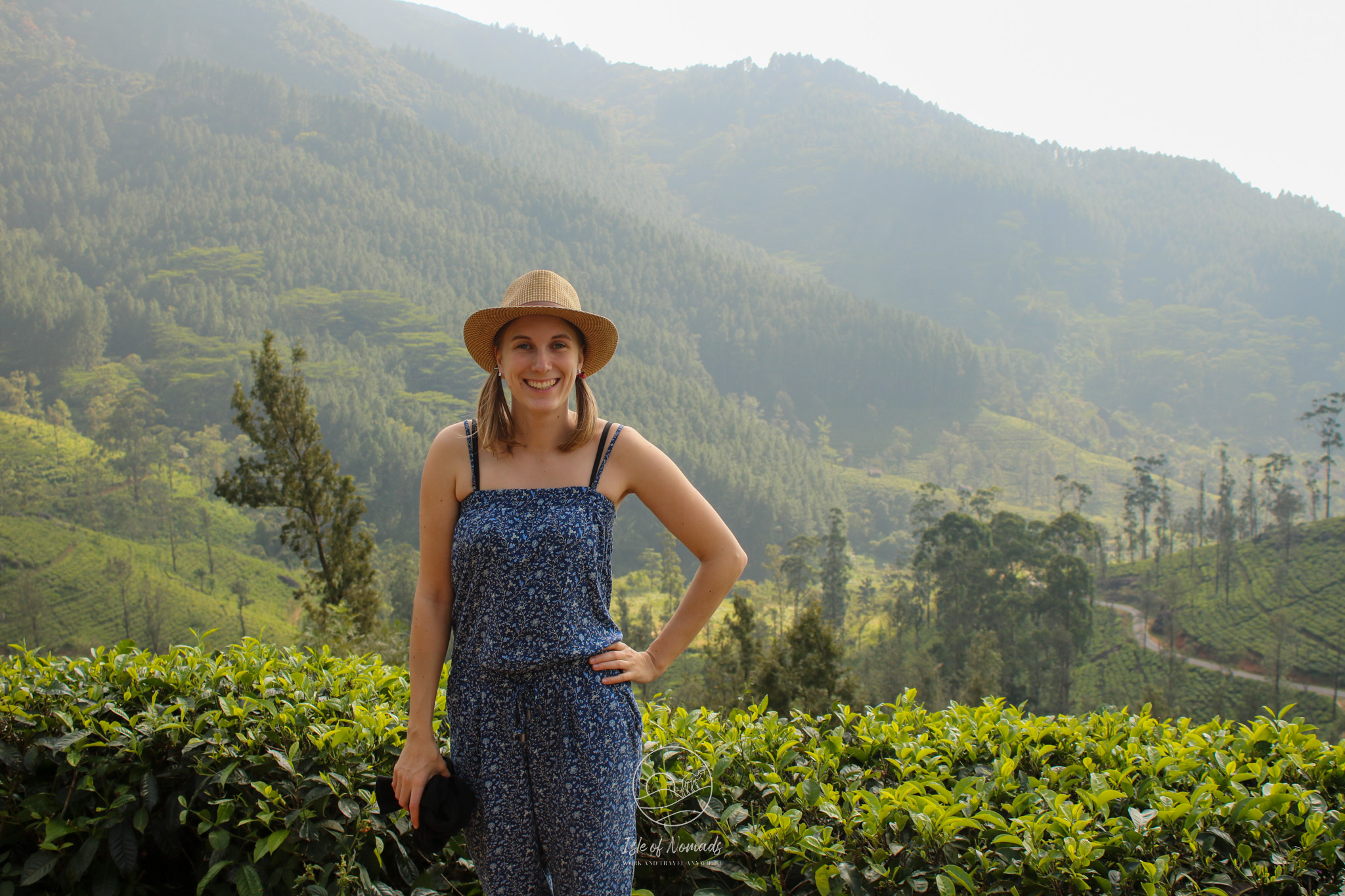 View on the tea plantations near Kandy