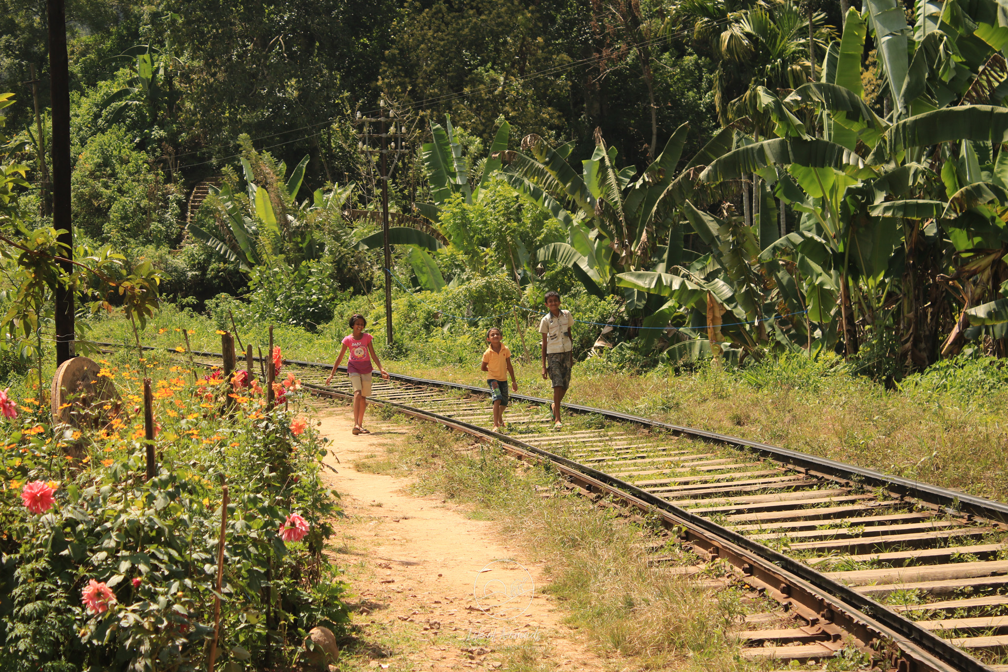 In Ella, you can walk on the tracks towards the Nine Arches Bridge