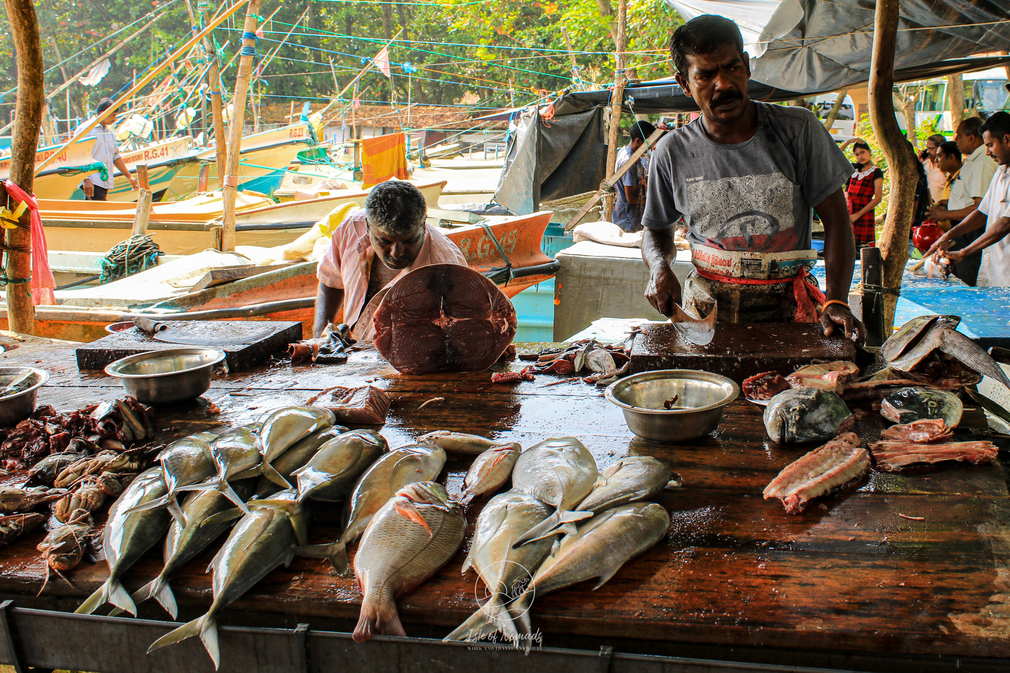 Make sure you taste the fresh fish curries while on the coast