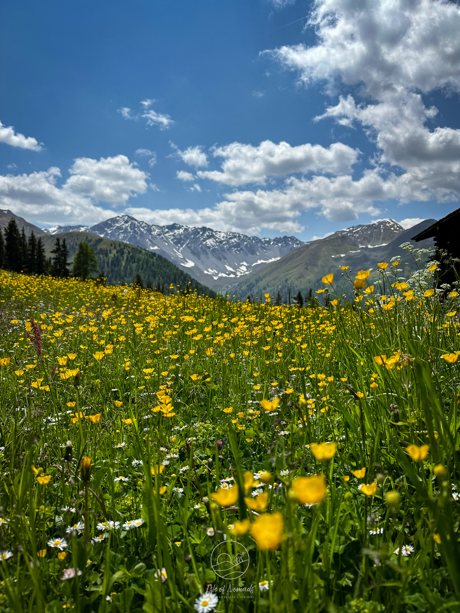 Spring is an especially nice time in Switzerland - blooming meadows as far as you can see